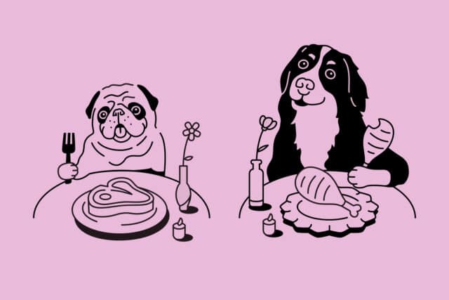 HelloFresh & The Pet’s Table